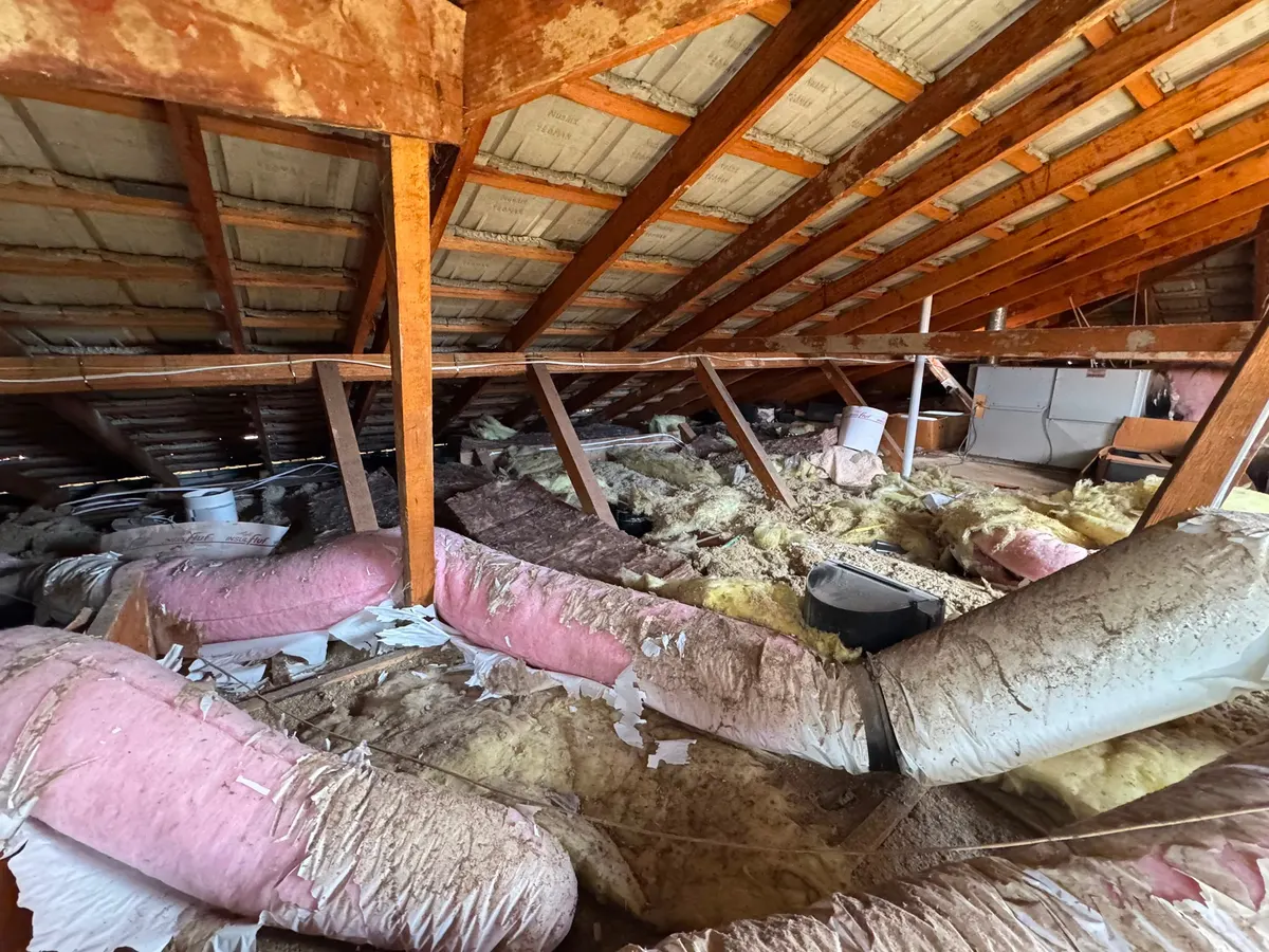 Roof cavity before removal, with old, dusty and torn insulation (photo 2 of 7)