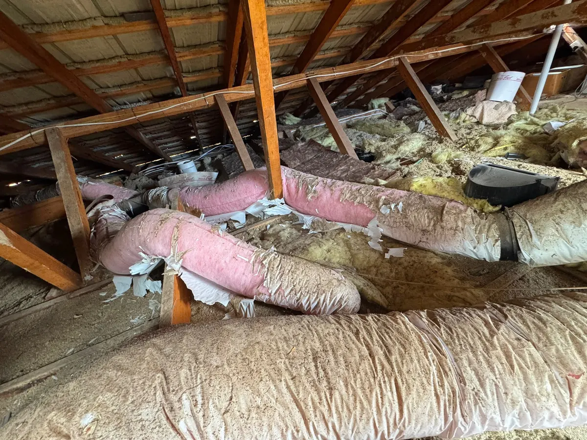 Roof cavity before removal, with old, dusty and torn insulation (photo 3 of 7)