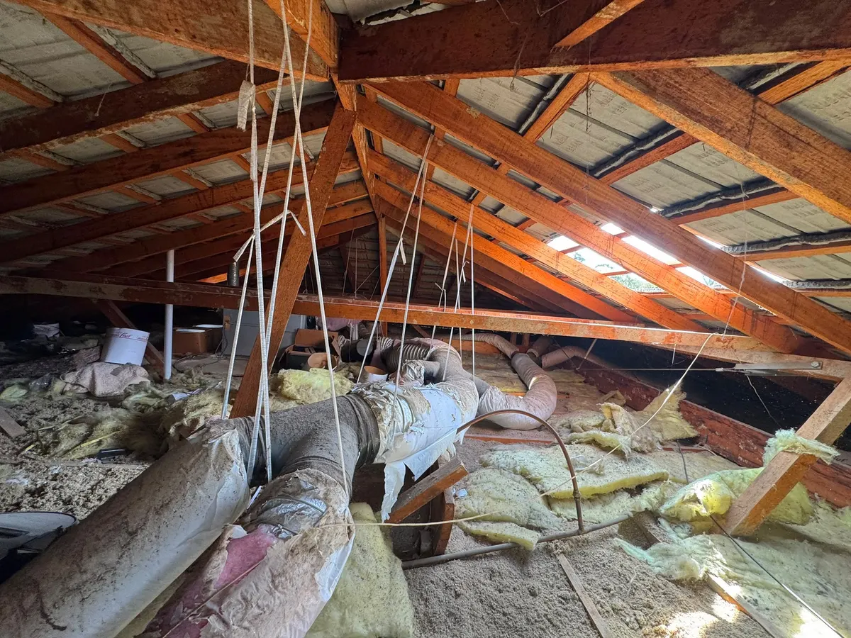 Roof cavity before removal, with old, dusty and torn insulation (photo 4 of 7)