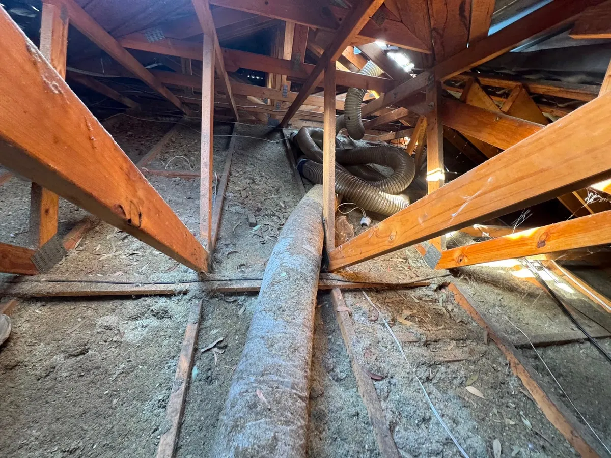 Roof cavity before removal, with old, dusty and torn insulation (photo 6 of 7)