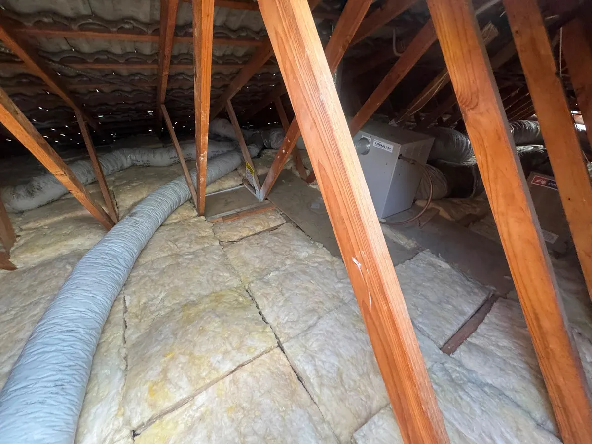 New insulation batts fitted evenly between the ceiling joists (photo 3 of 7)