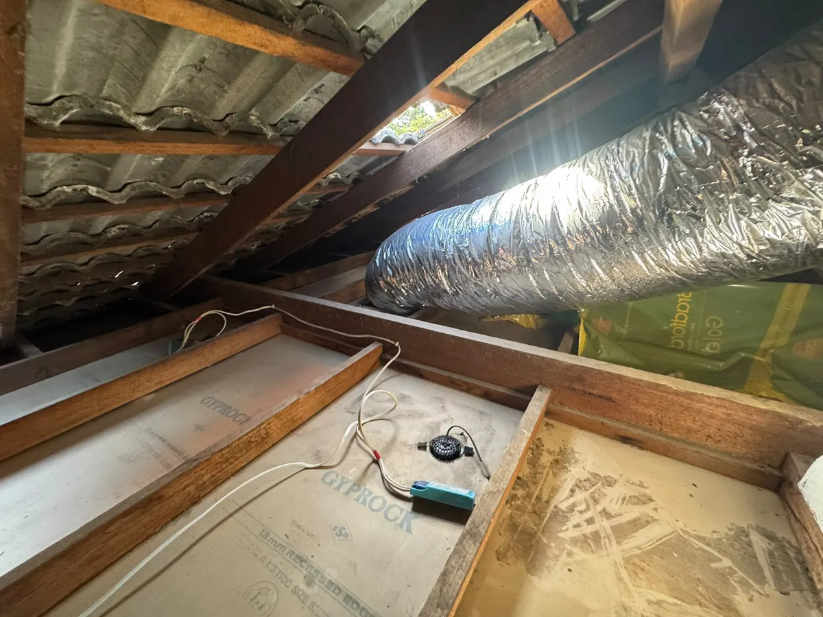 Roof cavity after vacuum removal, cleared down to the ceiling and joists (photo 4 of 7)